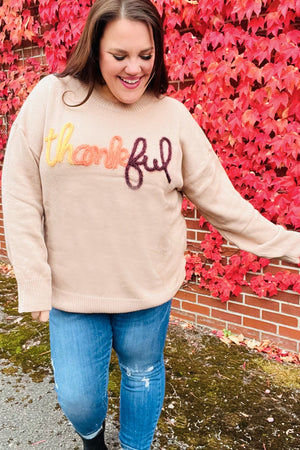 Feeling Thankful Taupe Pop Up Glittery Embroidery Sweater - Coeur de la Mode