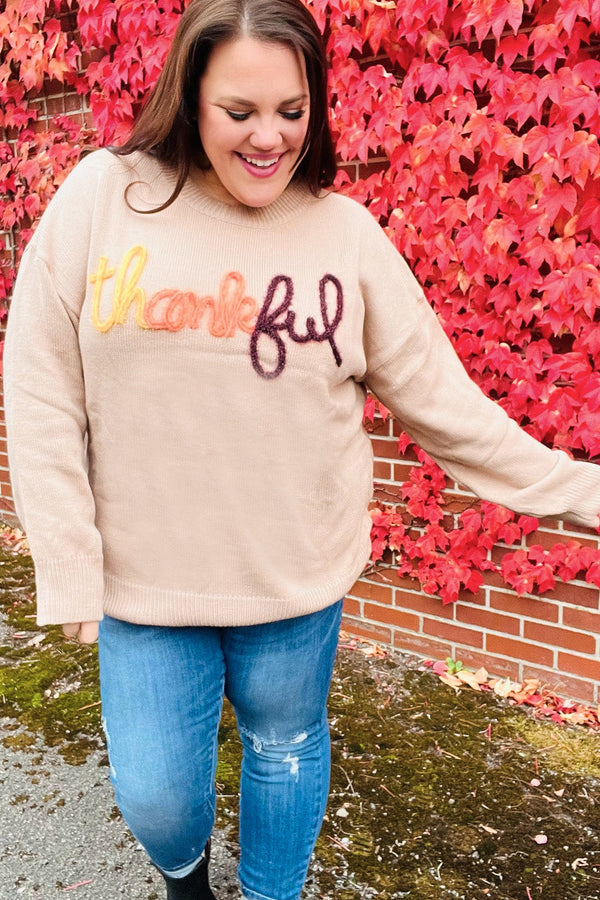 Feeling Thankful Taupe Pop Up Glittery Embroidery Sweater - Coeur de la Mode