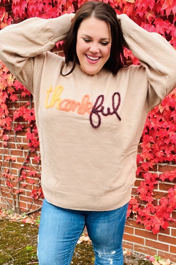 Feeling Thankful Taupe Pop Up Glittery Embroidery Sweater - Coeur de la Mode