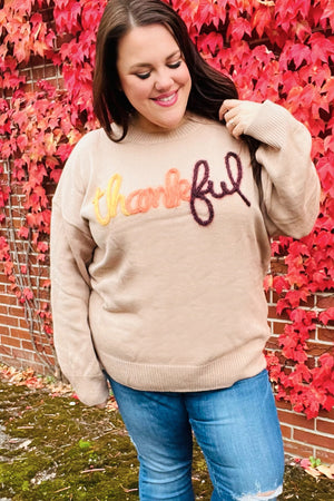 Feeling Thankful Taupe Pop Up Glittery Embroidery Sweater - Coeur de la Mode